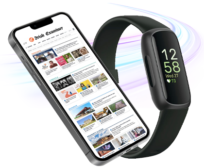 Free Fitbit with an annual plan
