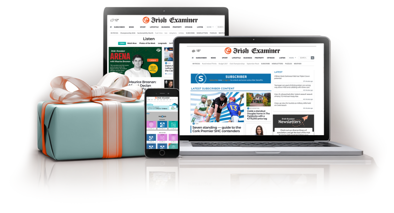 Irish Examiner gift subscription